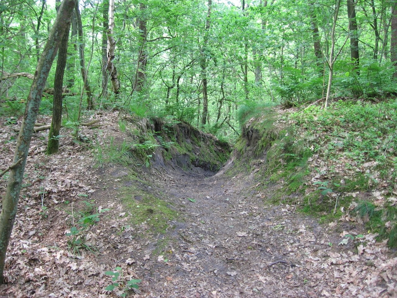 2026 07 16 Burgwall bei Ottensen