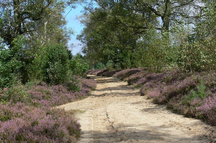 2026 08 20 Wanderweg